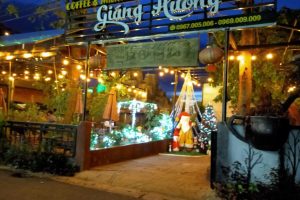 Mô hình mút xốp cây thông noel