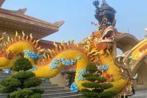 Mô hình rông mút xốp