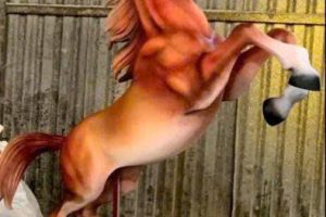 z7502634038123_3d44b7c5e89b742c64412b336ab5b761